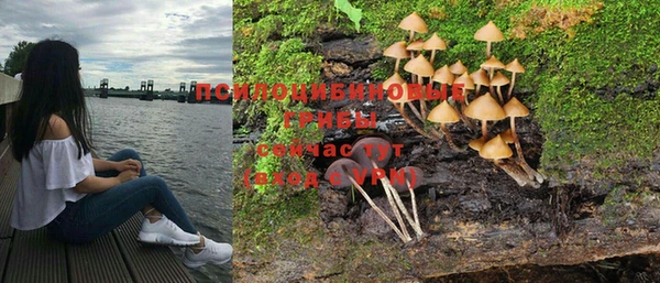 молекула духа Богородск